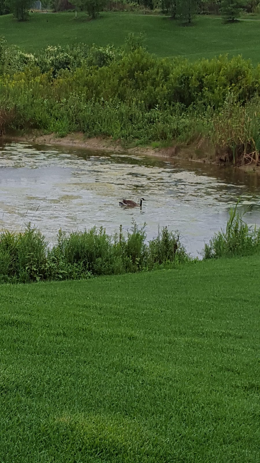 Riverstone Golf and Country Club | Clubhouse 150 Don Minaker Dr, Golf Proshop, 195 Don Minaker Dr, Brampton, ON L6P 2V1, Canada | Phone: (905) 794-8483