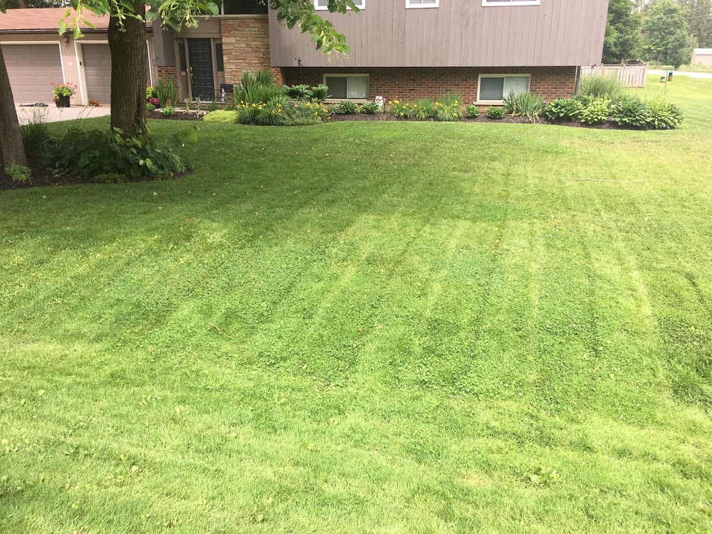 JMD Lawn Care | 16 Joanne Crescent, Elora, ON N0B 1S0, Canada | Phone: (437) 241-2127
