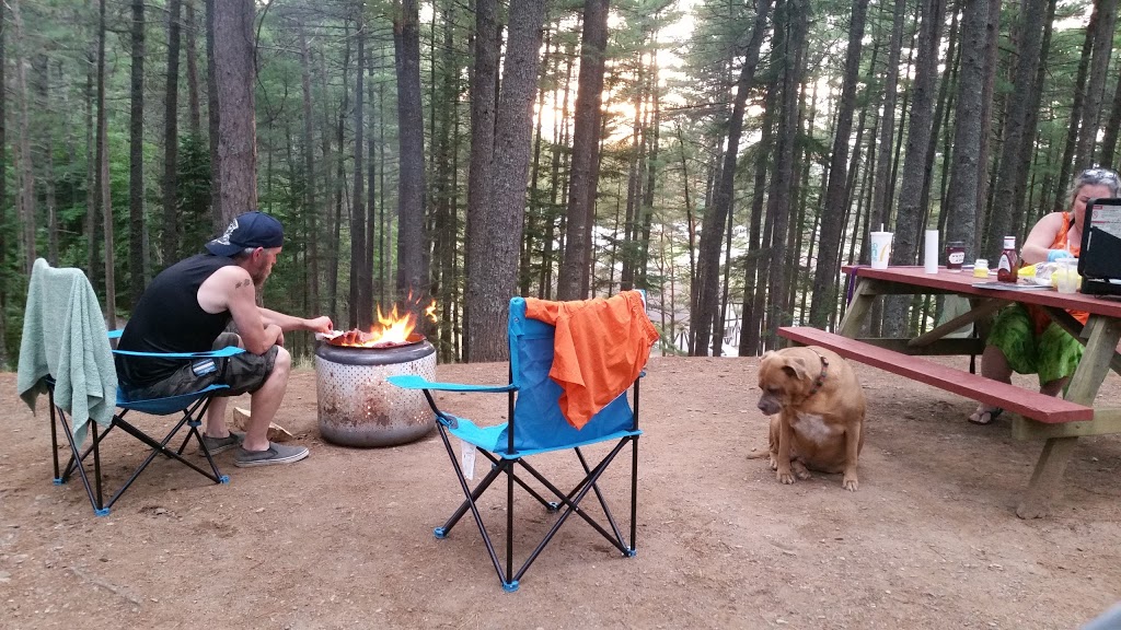 Sherwood Forest Camping Park | 6890 Nova Scotia Trunk 1, Coldbrook, NS B4R 1C5, Canada | Phone: (902) 679-6632