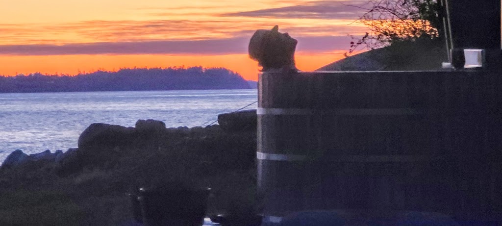 Oyster Beach House | 3909 BC-101, Powell River, BC V8A 0C6, Canada | Phone: (604) 849-5777