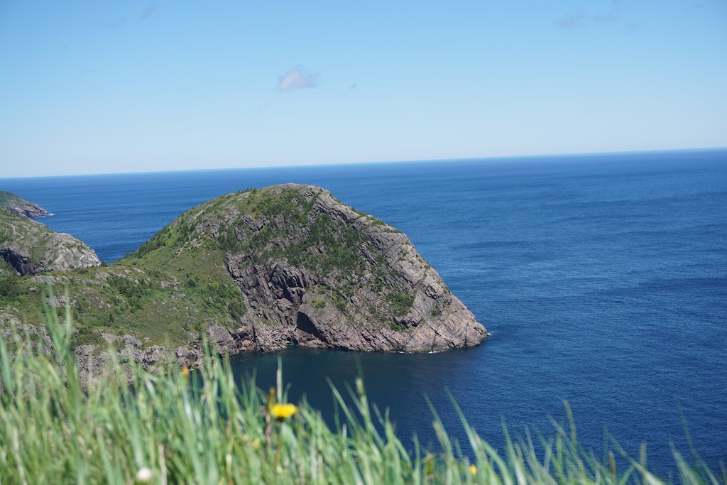 Cheyne Drive Park | 55 Cheyne Dr, St. Johns, NL A1A 5W5, Canada