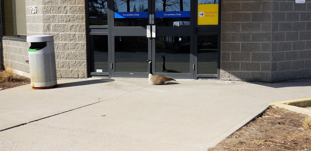 IKEA Burlington External Pick-Up Warehouse | 1135 King Rd, Burlington, ON L7R 3X5, Canada | Phone: (866) 866-4532