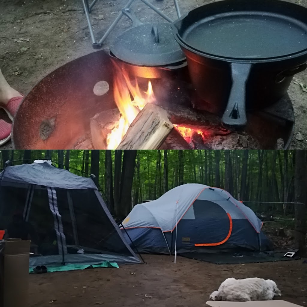 Bear Campground | Tiny, ON L9M 1R2, Canada | Phone: (705) 549-2231