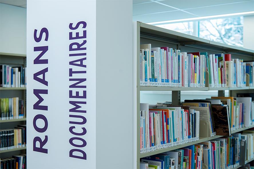 Library De Mirabel - Secteur De Sainte-Scholastique | 9975 Rue Saint Vincent, Mirabel, QC J7N 2Y3, Canada | Phone: (450) 475-2057