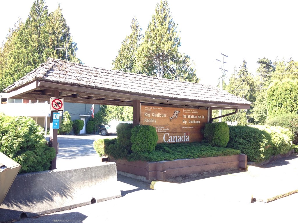 Big Qualicum Hatchery | 215 Fisheries Rd, Qualicum Beach, BC V9K 1Z5, Canada | Phone: (250) 757-8412