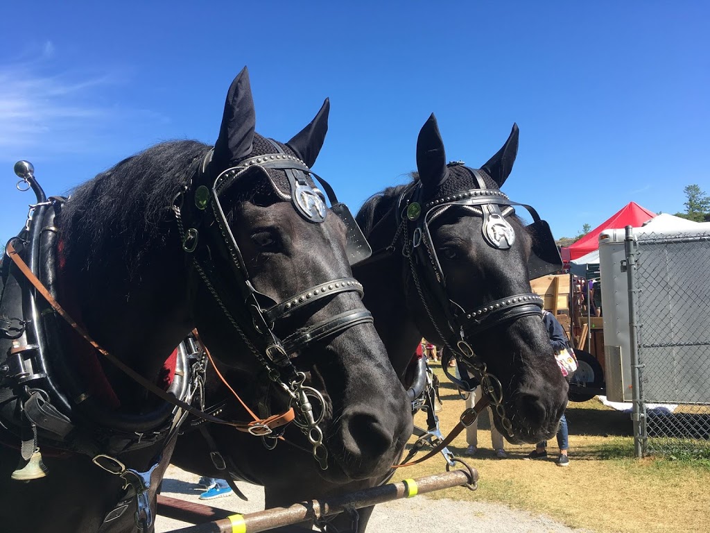 Twin Maples Farm | 1227 Base Line Rd, Severn Bridge, ON P0E 1N0, Canada | Phone: (705) 689-0182