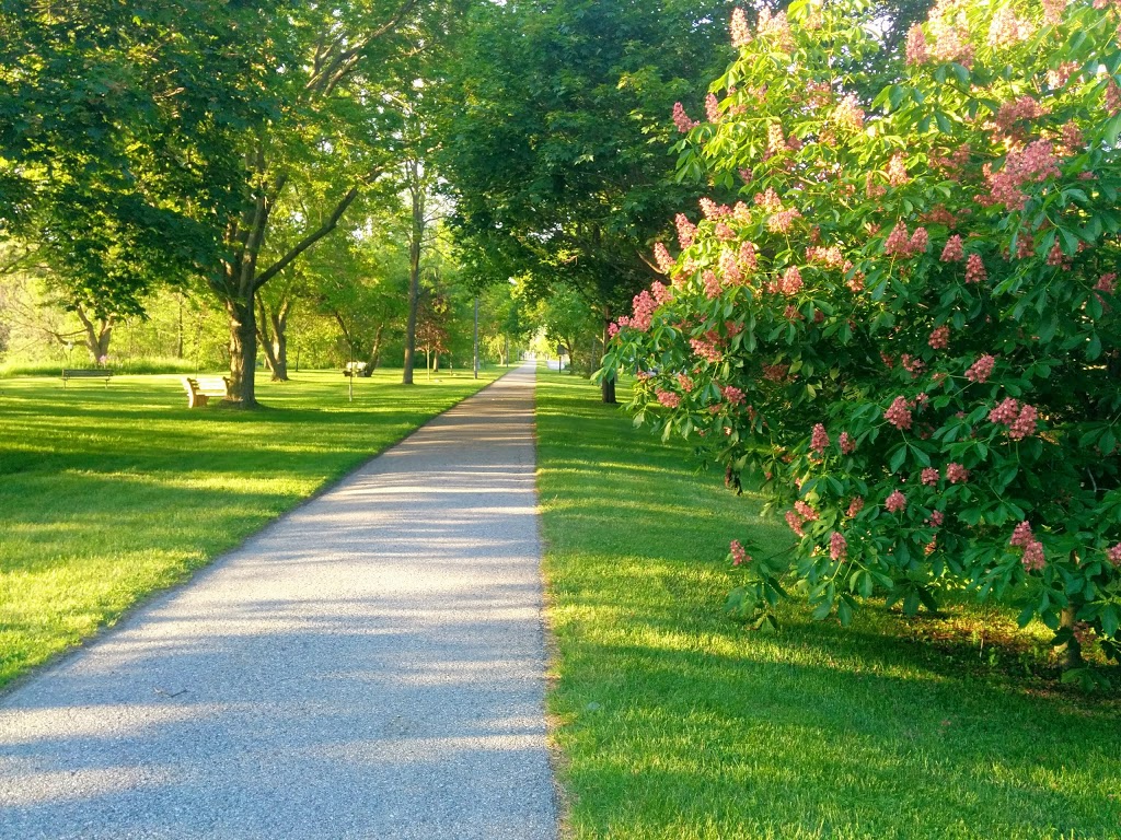 Peace Garden | 226 Thames Ave, St. Marys, ON N4X, Canada