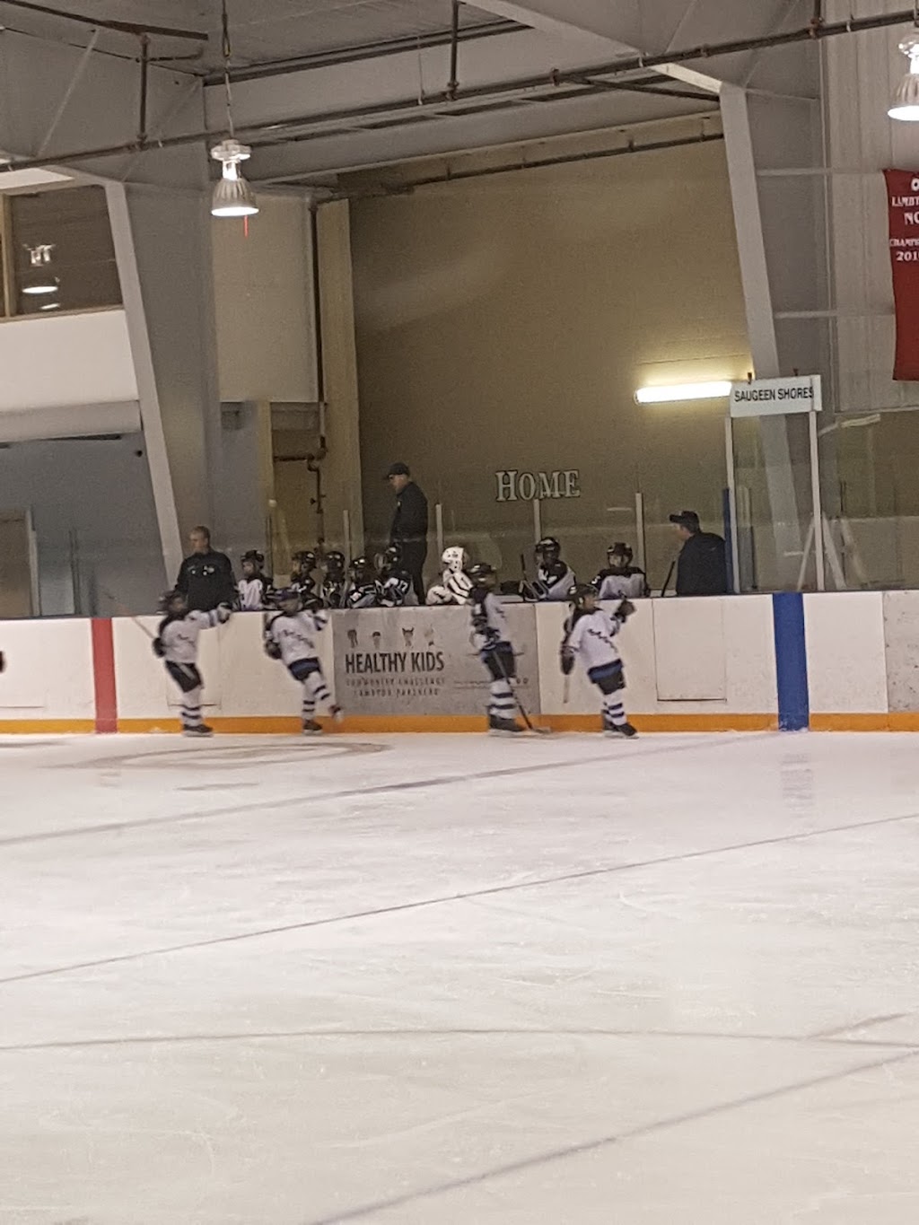 The Legacy Recreation Centre | 16 Allen St, Thedford, ON N0M 2N0, Canada | Phone: (519) 243-1400