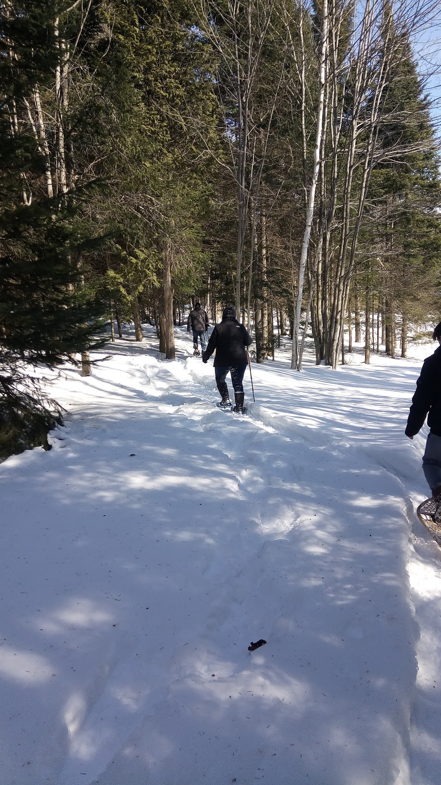 Fiddler Lake 72 - 4 Chemin de l'Oriole, Mille-Isles, QC J0R 1A0, Canada