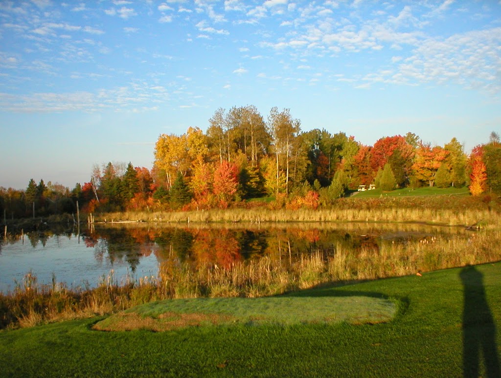 Oaks of Cobden Golf Club | 1725 Kohlsmith Rd, Cobden, ON K0J 1K0, Canada | Phone: (613) 646-2003