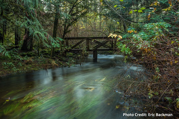 Mary Lake Nature Sanctuary | 1772 Millstream Rd, Victoria, BC V9B 6E4, Canada | Phone: (250) 478-5858