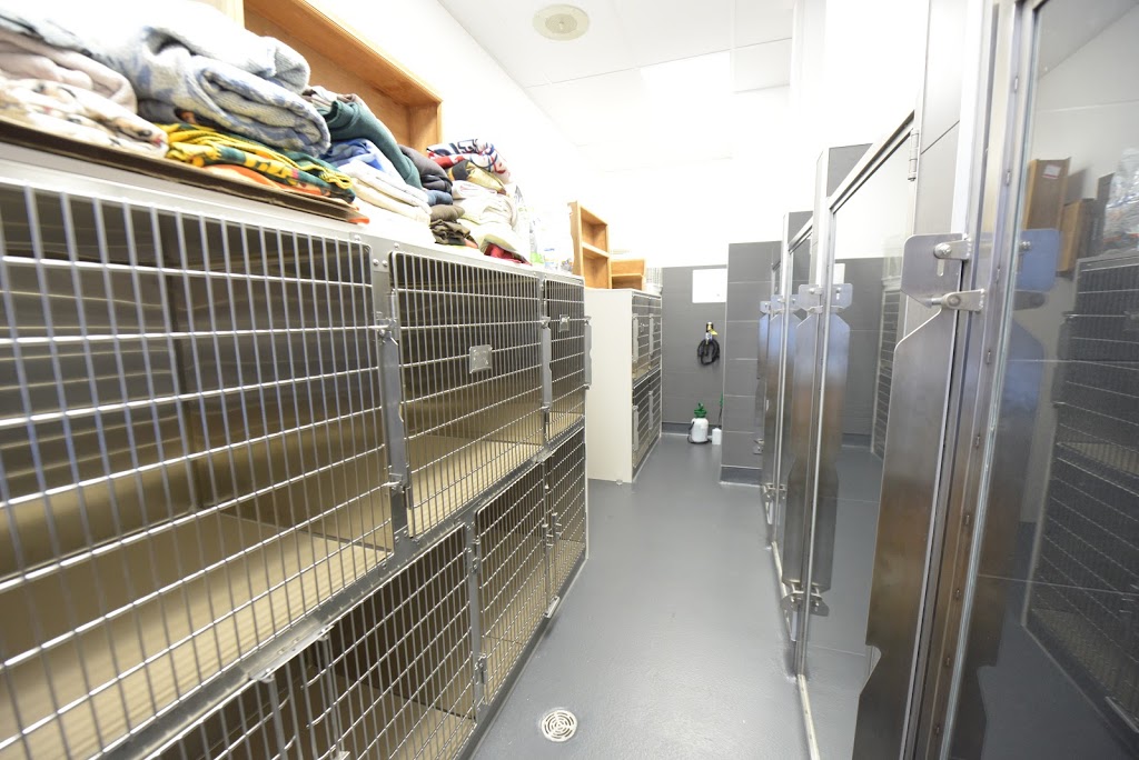 Veterinary Hospital Charlesbourg | 1229 Boulevard Louis-XIV, Québec, QC G1H 6Z8, Canada | Phone: (418) 626-1461