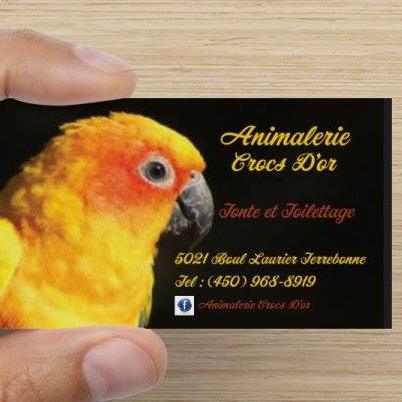 Animalerie Croc DOr | 5021 Boulevard Laurier, Terrebonne, QC J7M 1C3, Canada | Phone: (450) 968-8919