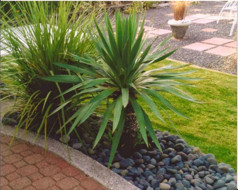 Orca Tree & Lawn Care Ltd. | 3-484 Mill Rd, Qualicum Beach, BC V9K 1J6, Canada | Phone: (250) 607-7355