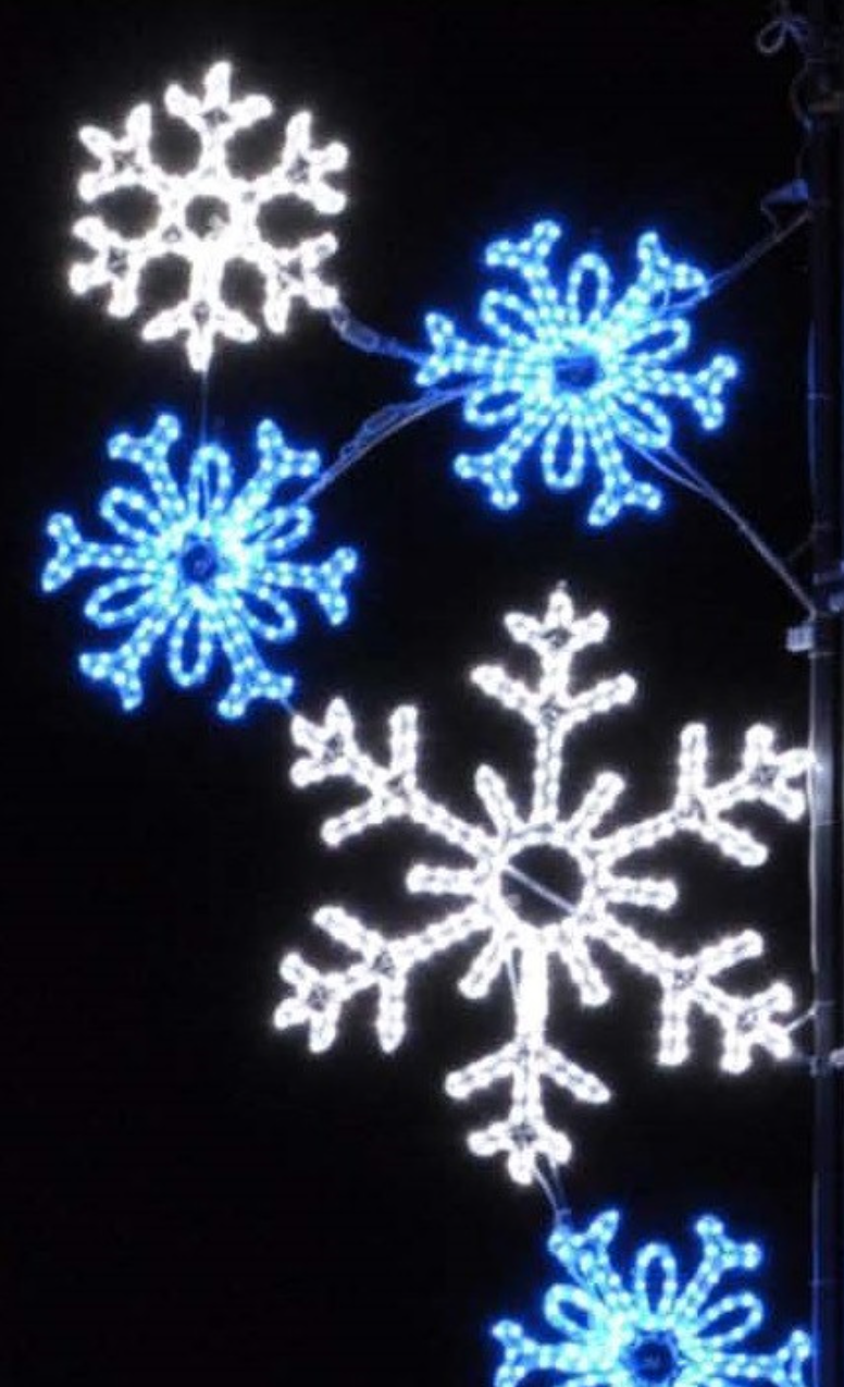HolidayLightsDotCom | 1124 Fir Ave, Blaine, WA 98230, USA | Phone: (800) 627-4146