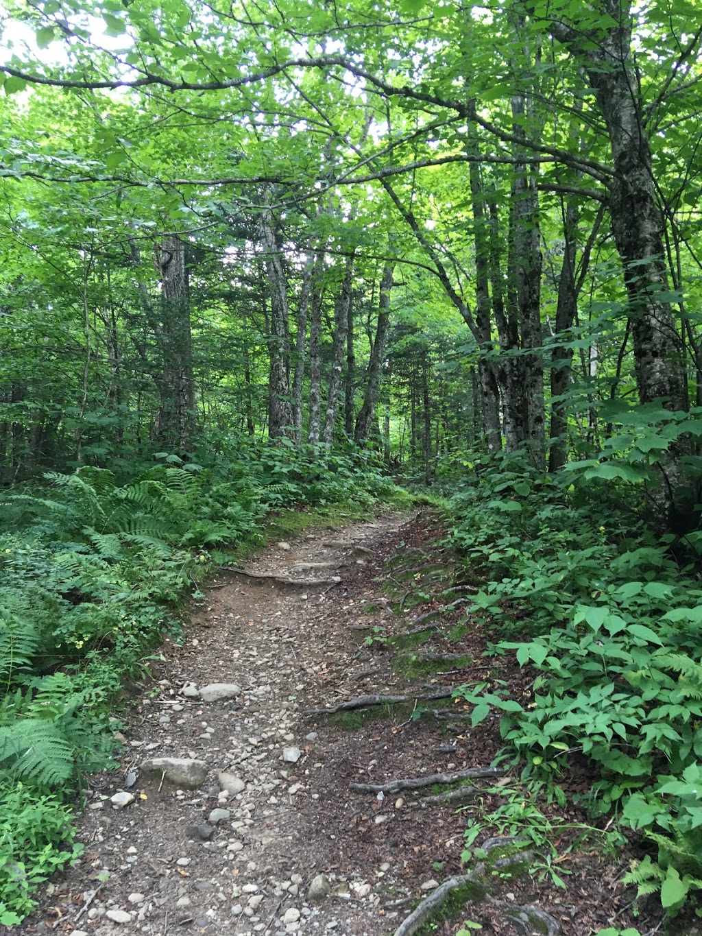 Mt.Magalloway Trailhead | Tower Rd, Pittsburg, NH 03592, USA