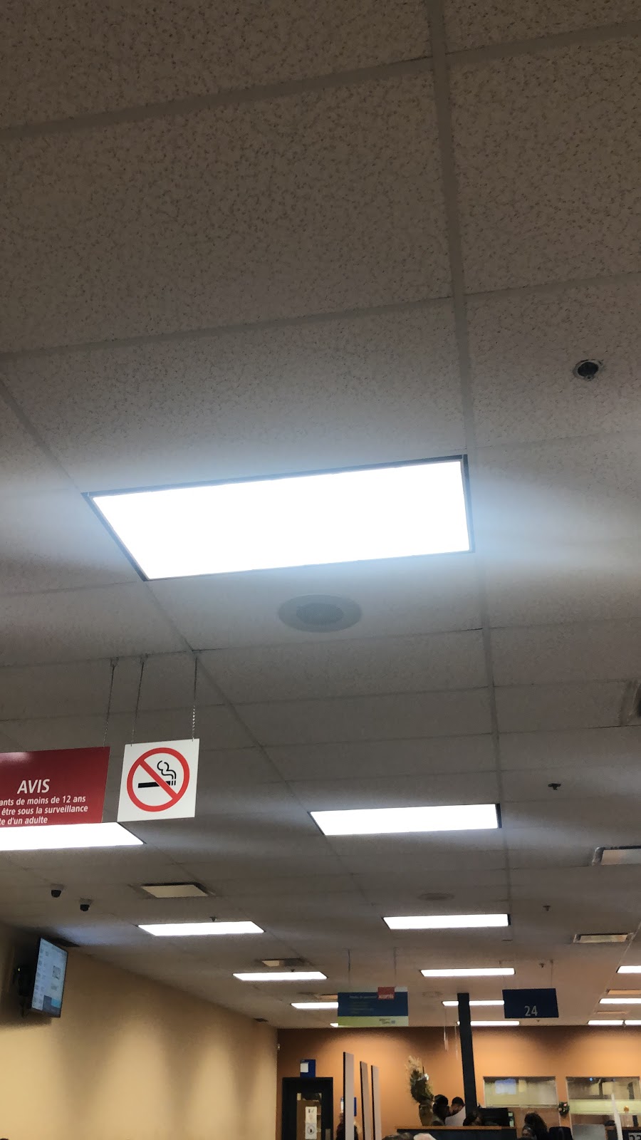 Société de lassurance automobile du Québec (SAAQ) | 2877 Chemin de Chambly #50, Longueuil, QC J4L 1M8, Canada | Phone: (514) 873-7620