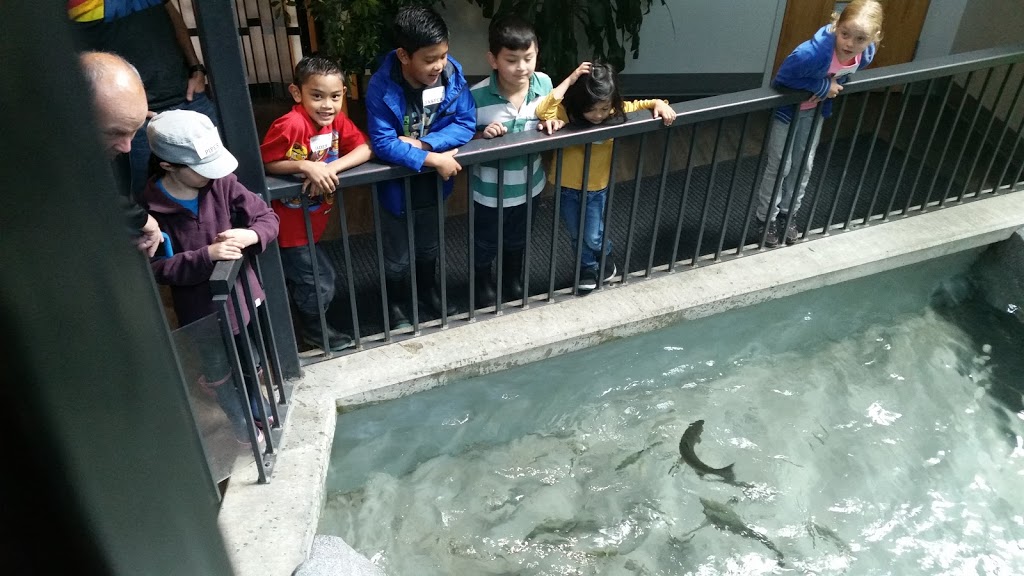 Fraser Valley Trout Hatchery & Visitor Centre | 34345 Vye Rd, Abbotsford, BC V2S 7P6, Canada | Phone: (604) 504-4716
