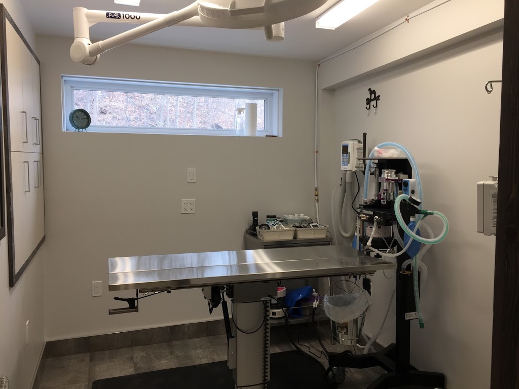 Clinique vétérinaire Bedford inc. | 31 Rue Principale, Bedford, QC J0J 1A0, Canada | Phone: (450) 248-0101