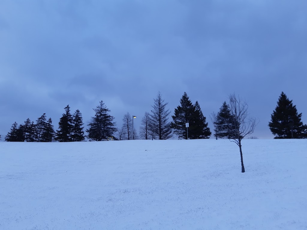 Major Oaks Park | 410 and, Williams Pkwy, Brampton, ON L6V 4S2, Canada
