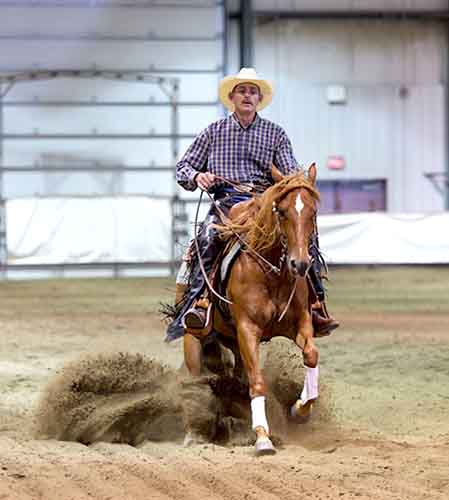 Saddle Creek Ranch Ltd | 22347 Wye Rd, Sherwood Park, AB T8C 1H7, Canada | Phone: (780) 907-9577