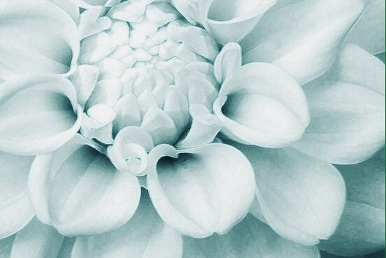 Bare Wax And Beauty Boutique | 2716 Mt Dale Pl, Blind Bay, BC V0E 1H1, Canada | Phone: (250) 253-9052