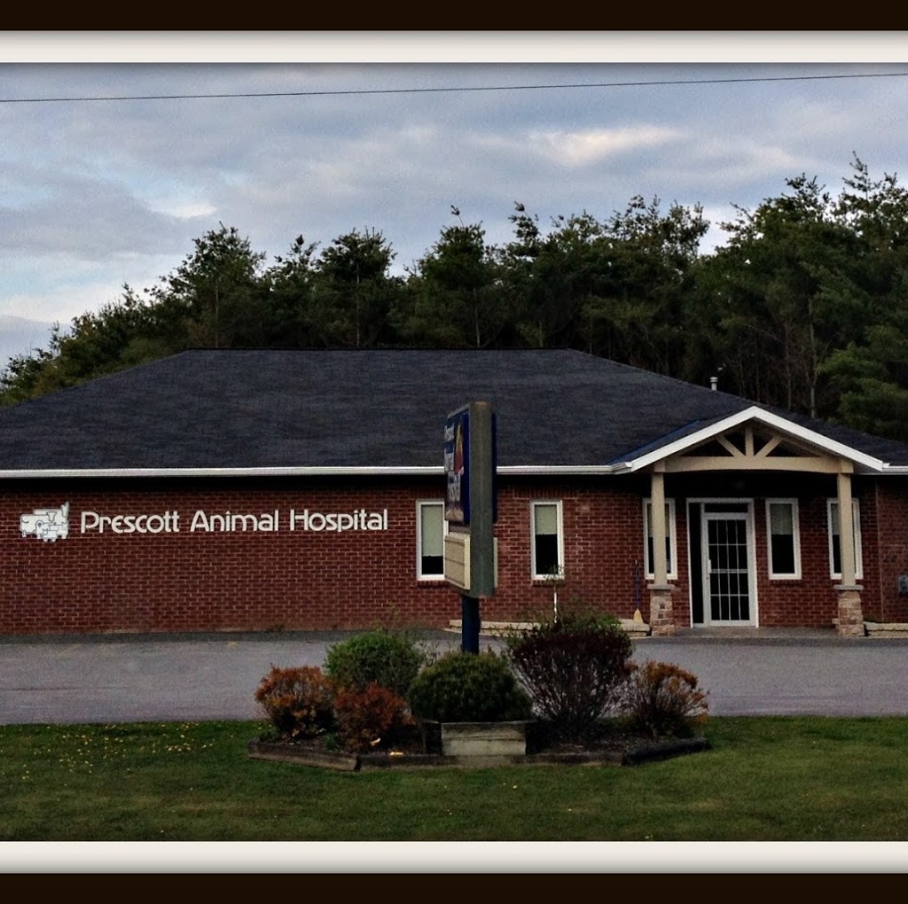 Prescott Animal Hospital | 2725 Edward St N, Prescott, ON K0E 1T0, Canada | Phone: (613) 925-5909