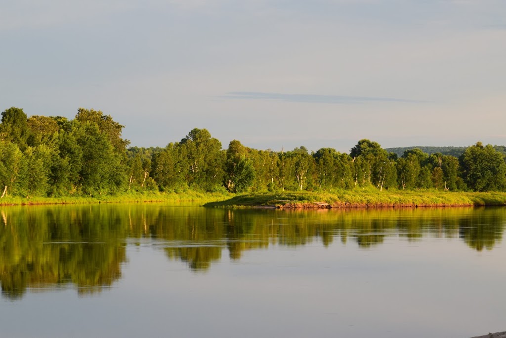 Golf Domaine de lÎle Patry | 1 Ile A Patry, La Vallée-de-la-Gatineau, QC J0X 1E0, Canada | Phone: (819) 465-3654