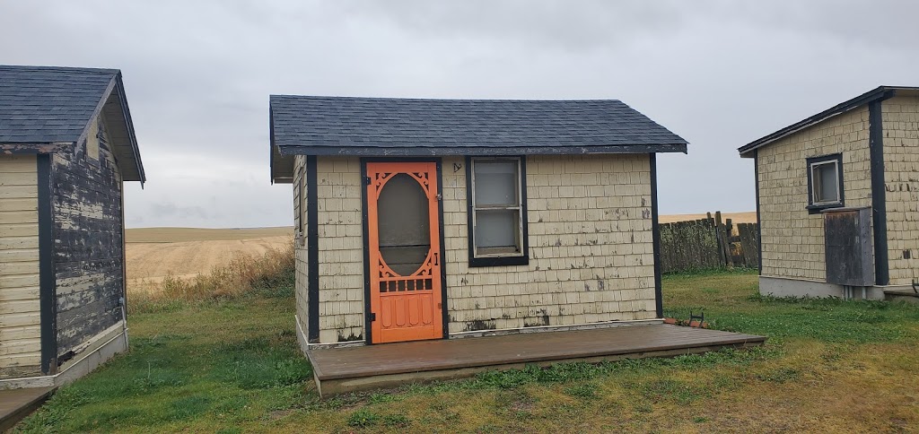 The Pope Lease Pines | Range Rd 221 & Hwy 575, Drumheller, AB T0J 0Y0, Canada | Phone: (403) 823-8281