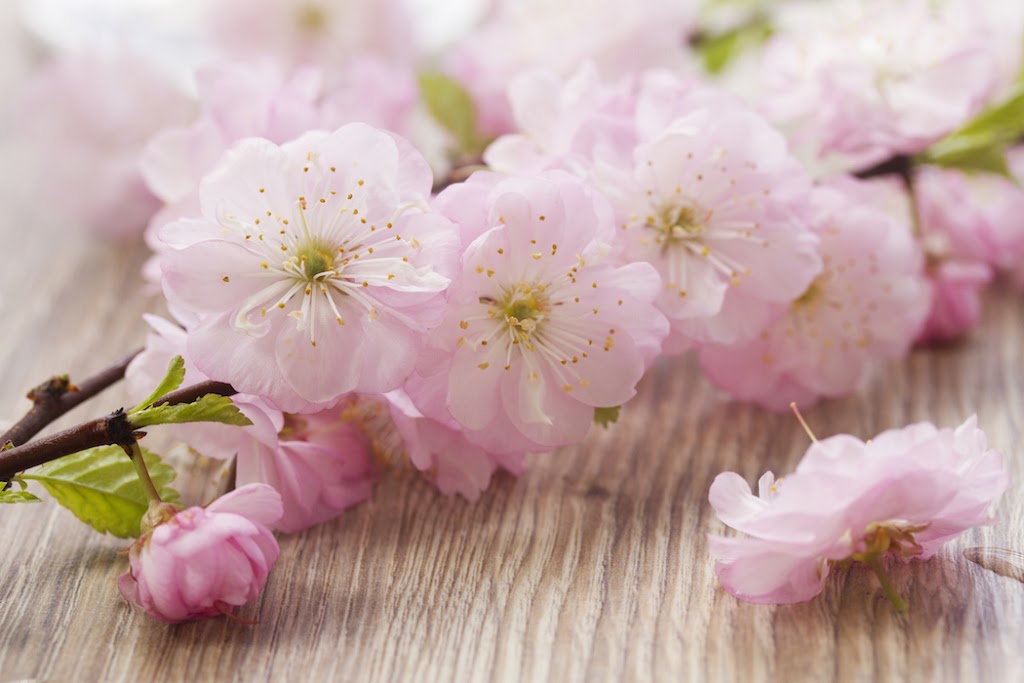 NUE SKINCARE & SPA | 4735 Southwestern Blvd, Hamburg, NY 14075, USA | Phone: (716) 400-1143