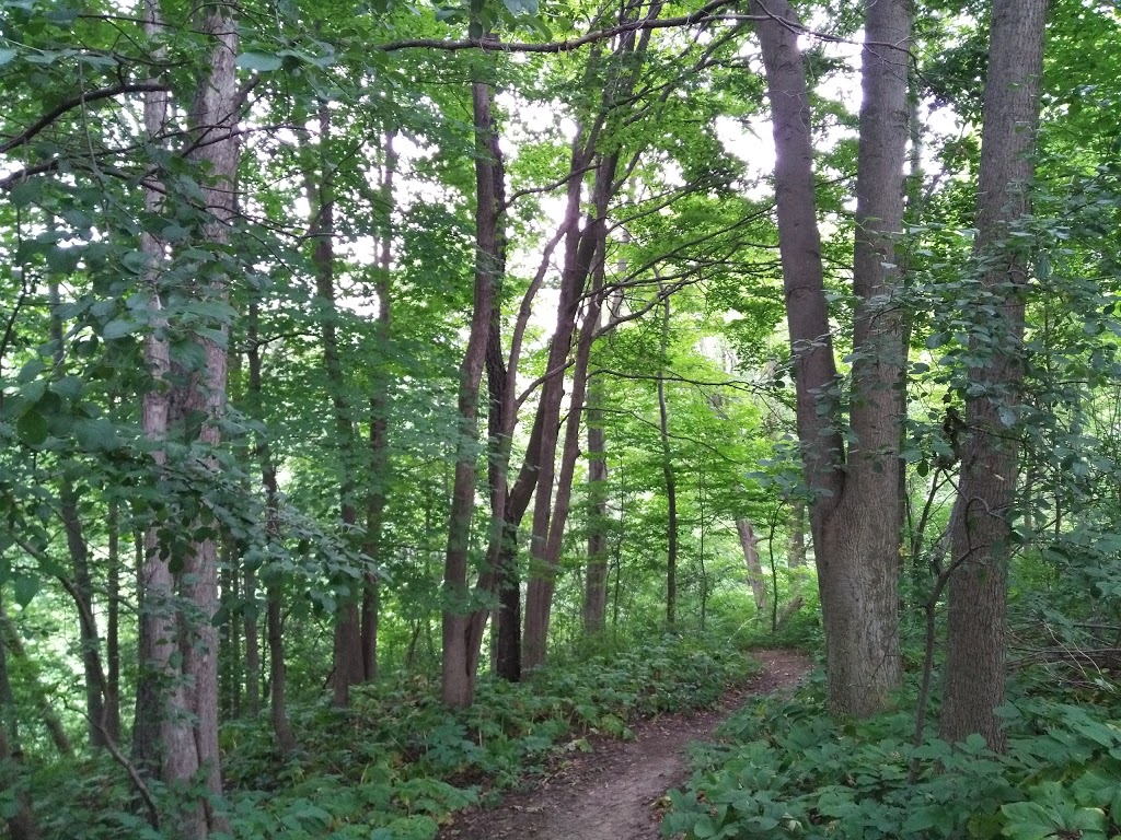 Northbrook Park | 2135 Blackwater Rd, London, ON N5X 4J9, Canada