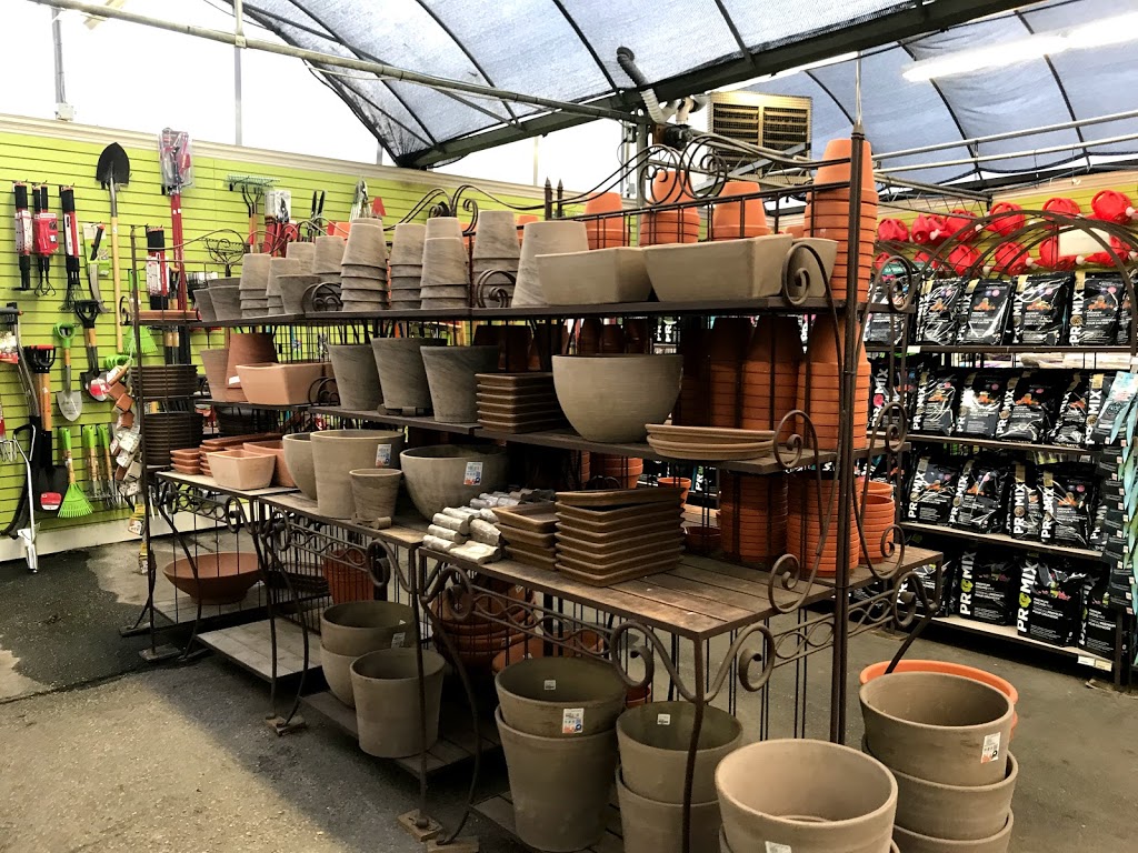 Plant World | 4000 Eglinton Ave W, Etobicoke, ON M9A 4M2, Canada | Phone: (416) 241-9174