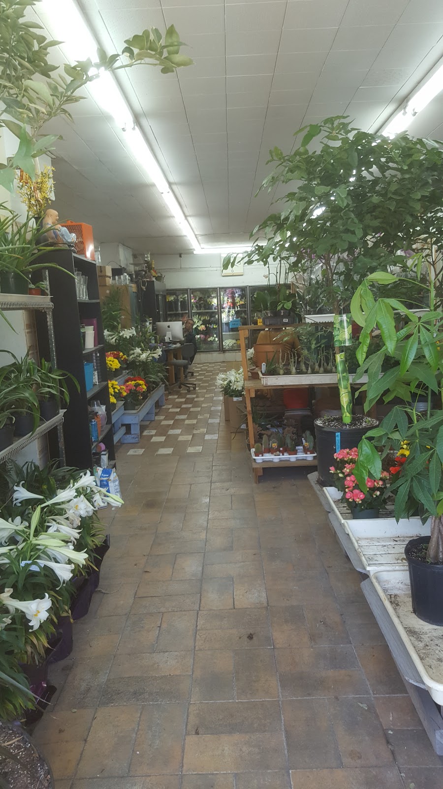 Artiflora Rosemont | 2117 Boulevard Rosemont, Montréal, QC H2G 1T3, Canada | Phone: (514) 722-1292