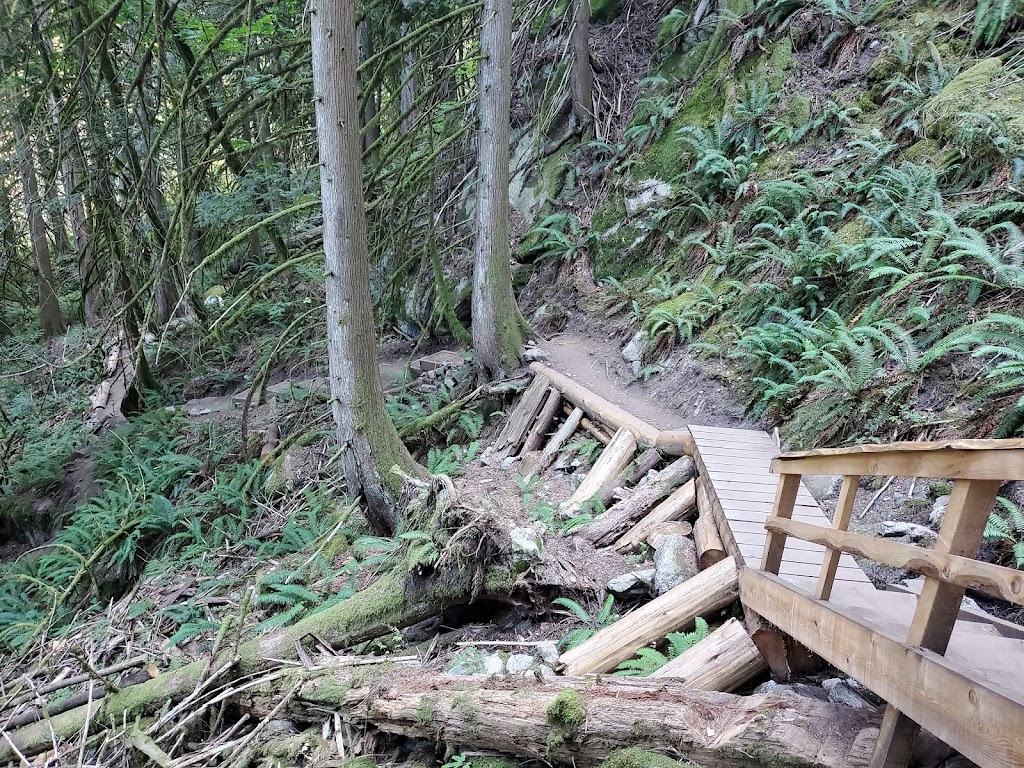 Kw’okw’echíwel Stl’áleqem (Dragons Back) trailhead | 19601 Silver Skagit Rd #20021, Hope, BC V0X 1L2, Canada | Phone: (604) 869-1274
