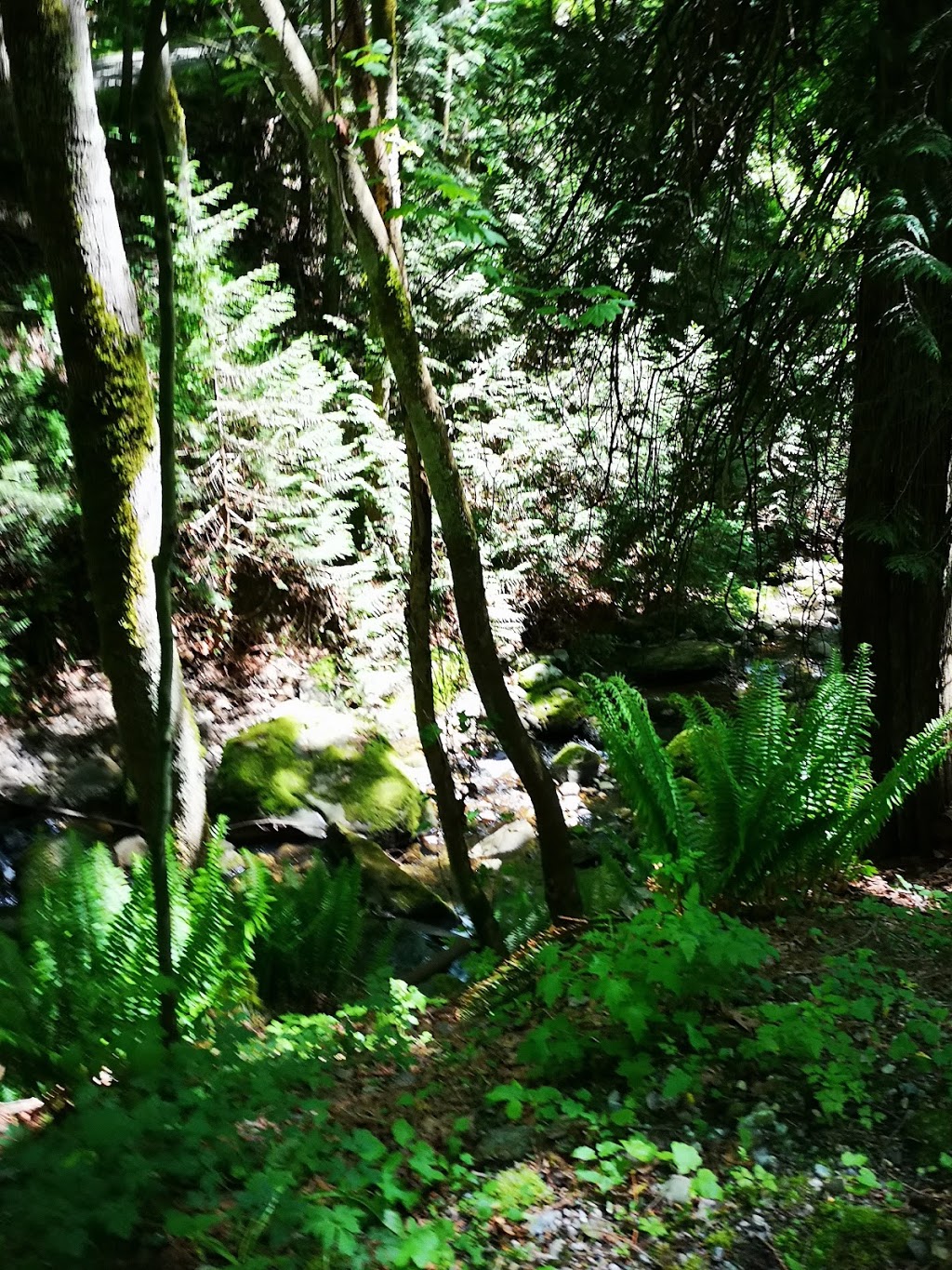 Laurentian Park | 375 Laurentian Crescent, Coquitlam, BC V3K 1Y3, Canada | Phone: (604) 927-6300