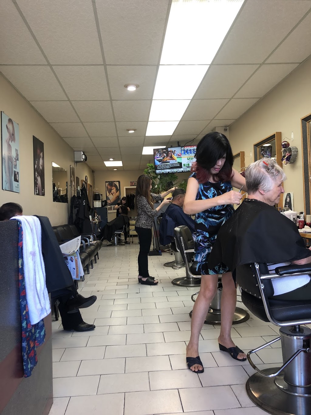 Tân Mỹ Garders Hair Salon | hair care | 2223A Jane St, North York, ON M3M 1A5, Canada | 4162494753 OR +1 416-249-4753
