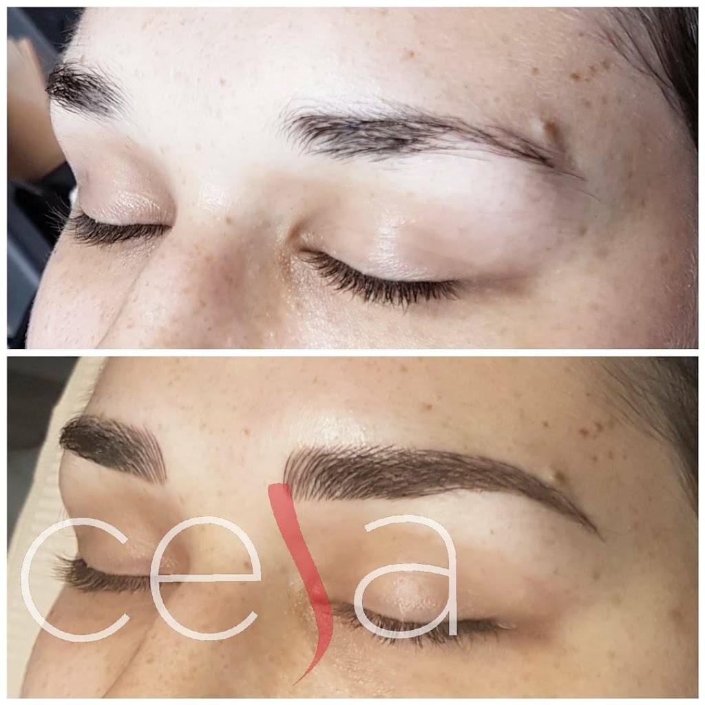ceja | 1081 St Clair Ave W, Toronto, ON M6E 1A8, Canada | Phone: (416) 454-7458