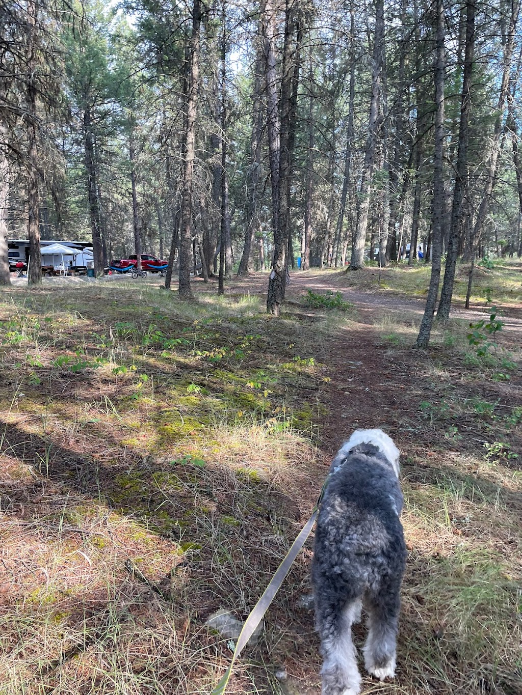 Kikomun Creek Provincial Park - East Kootenay B, BC V0B 1T0, Canada