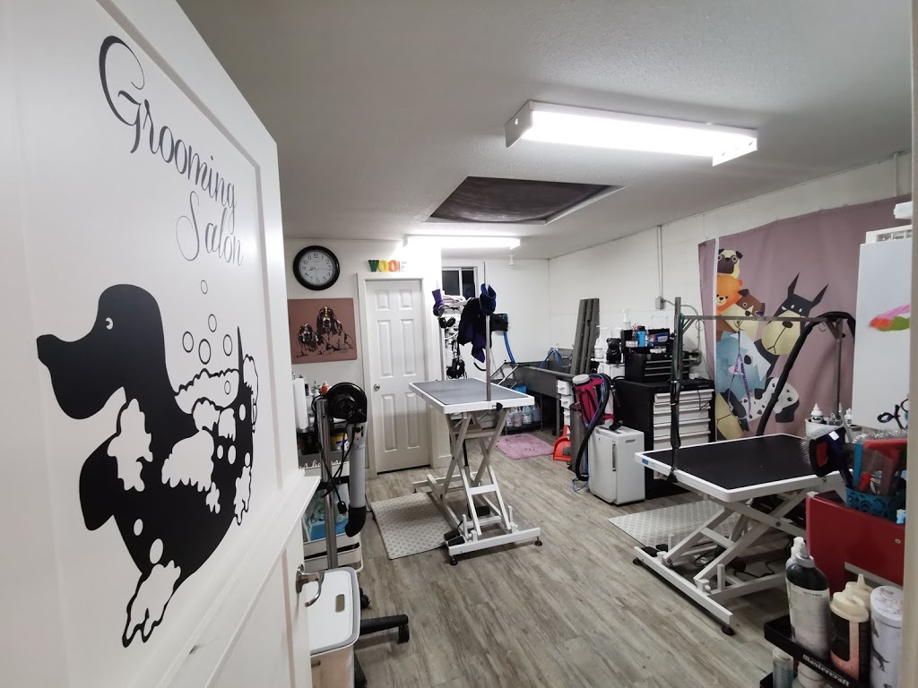 Animal Magic Pet Resort & Spa | 1004 Bellevue Rd, Parksville, BC V9P 2C2, Canada | Phone: (250) 248-8700