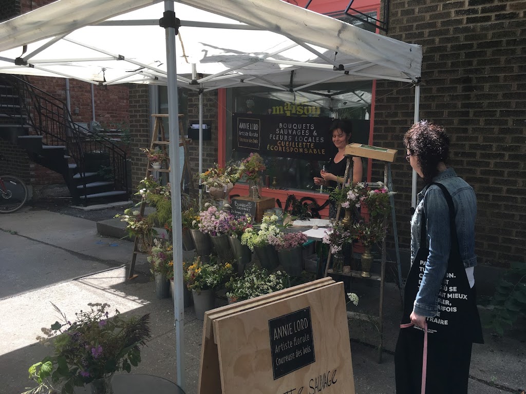 Naturopathie du Plateau - Montréal | 5090 Rue de Brébeuf, Montréal, QC H2J 3L7, Canada | Phone: (514) 527-9750