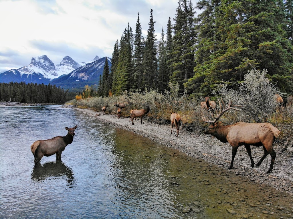 Public Boat Launch Parking Lot | Rundle Dr, Canmore, AB T1W, Canada | Phone: (844) 621-7238