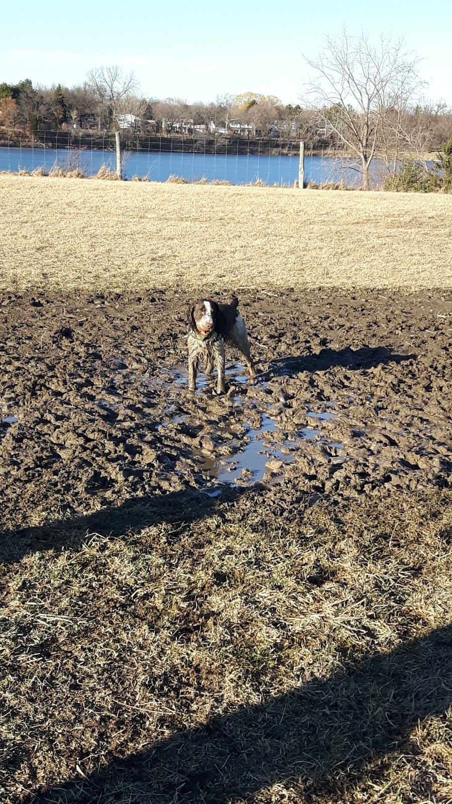Blackwell Dog Park | 1468 Blackwell Rd, Sarnia, ON N7S 5M5, Canada | Phone: (519) 332-0330 ext. 3351