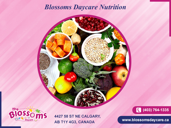 The Blossoms Daycare (Temple), Preschool, Before and After Schoo | 4427 58 St NE, Calgary, AB T1Y 4G3, Canada | Phone: (403) 764-1335