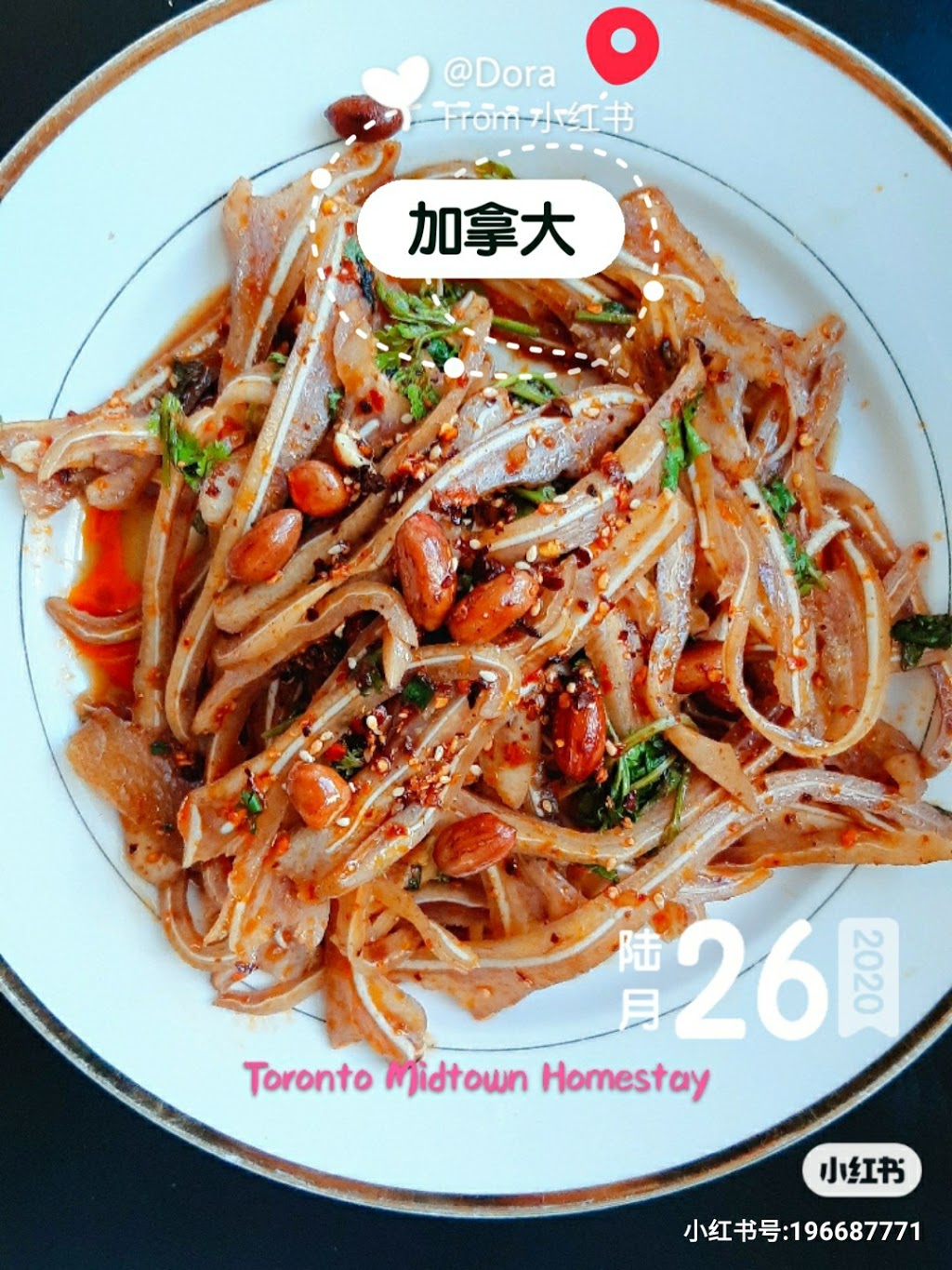 Toronto Midtown Homestay | 38 Tyrrel Ave, Toronto, ON M6G 2G2, Canada | Phone: (647) 779-3268