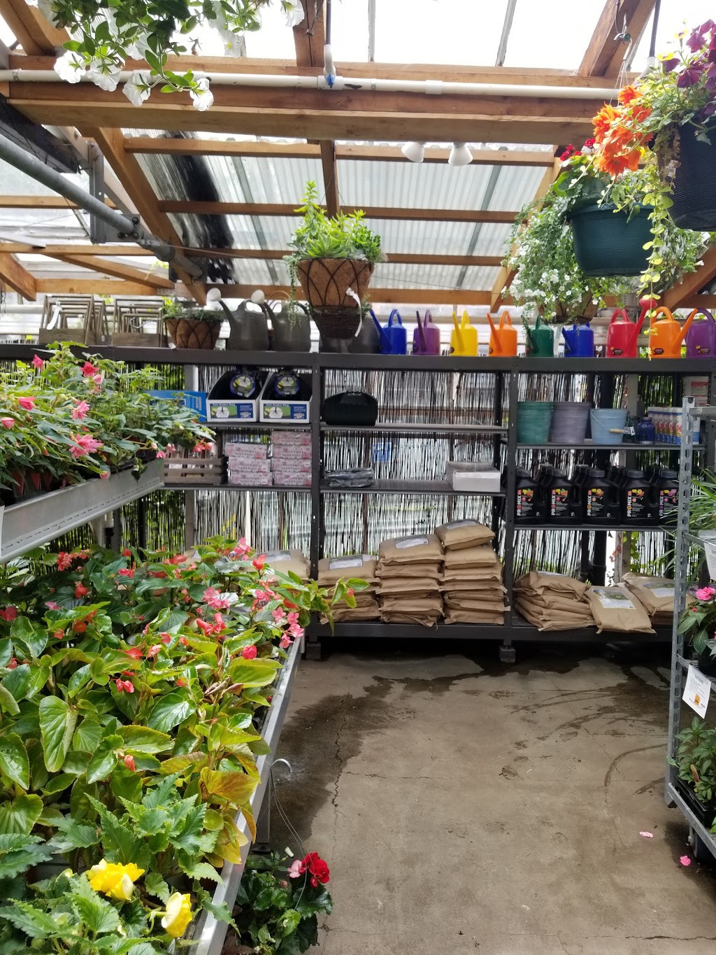 Maple Leaf Garden Centre | 1343 Lynn Valley Rd, North Vancouver, BC V7J 2A5, Canada | Phone: (604) 985-1784
