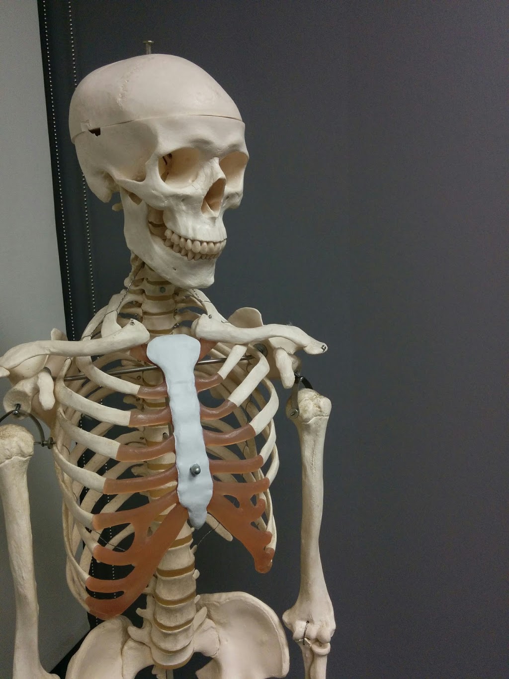 ProActive Chiropractic & Training Centre | Royal Court, 300 Bunting Rd, St. Catharines, ON L2M 7X3, Canada | Phone: (905) 937-7908