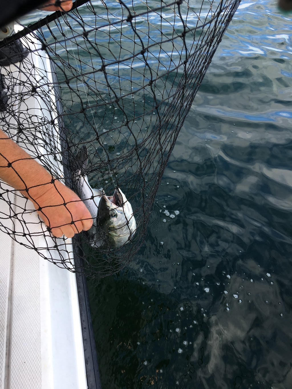Catchmore Charters | 2011 Skyline Way, Anacortes, WA 98221, USA | Phone: (360) 293-7093