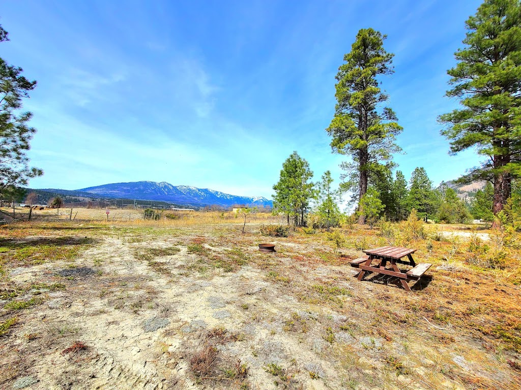 Black Sheep Camp Kootenay River | 9110 BC-93 #95, Canal Flats, BC V0B 1B0, Canada | Phone: (250) 483-2818
