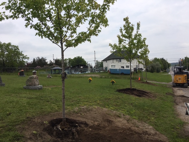 Lymans Landscaping | 7 Demorest Rd, Stirling, ON K0K 3E0, Canada | Phone: (613) 391-9692