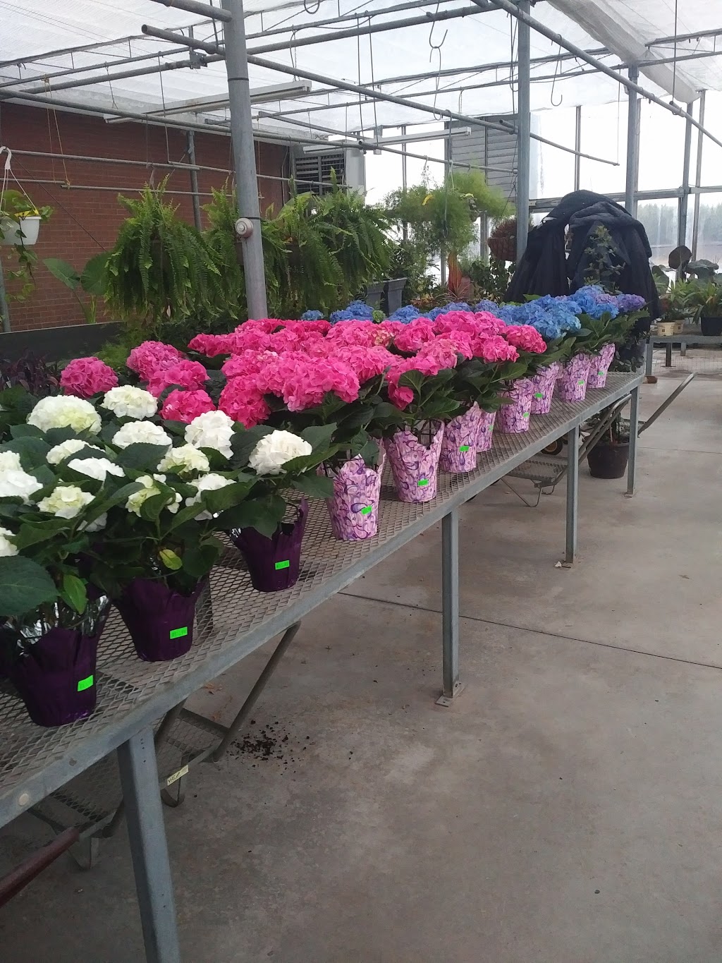 Four Seasons Garden Centre | 2160 Albion Rd, Etobicoke, ON M9W 6P4, Canada | Phone: (416) 675-1041